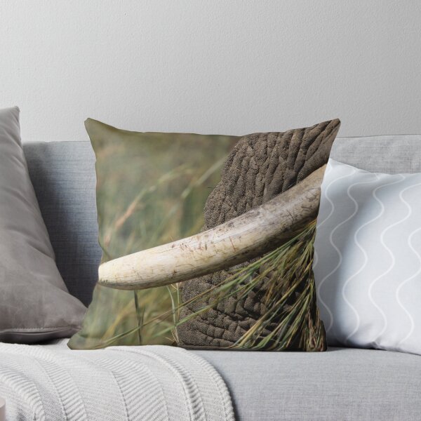 Artikelvorschau, Elephant Tusk entworfen und verkauft von Graeme Shannon.