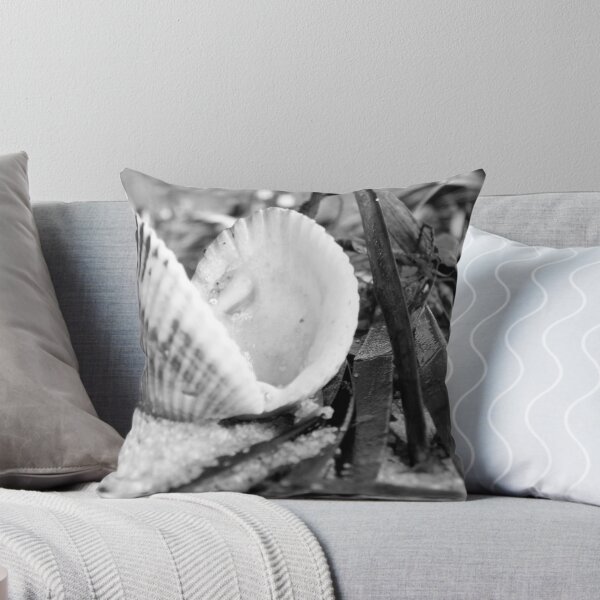 Item preview, Solitary Shell designed and sold by Aimee Makeham.