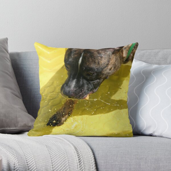 Fishin for snacks Throw Pillow