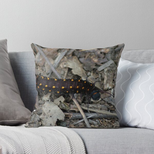 Item preview, Wannabe Butterfly designed and sold by Rick  Friedle.