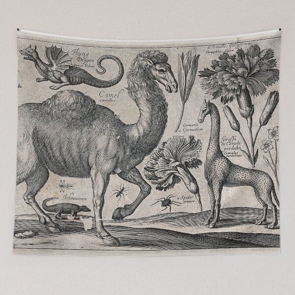Item preview, A camel surrounded by various named animals and flowers  designed and sold by Vintage Designs +.