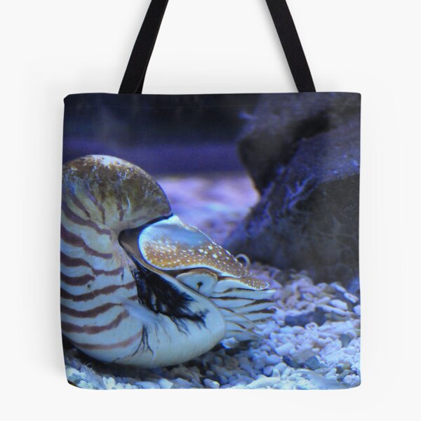 Artikelvorschau, Nautilus entworfen und verkauft von Daidalos.