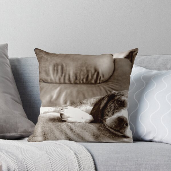 Item preview, Sleepy Boy designed and sold by rmcbuckeye.