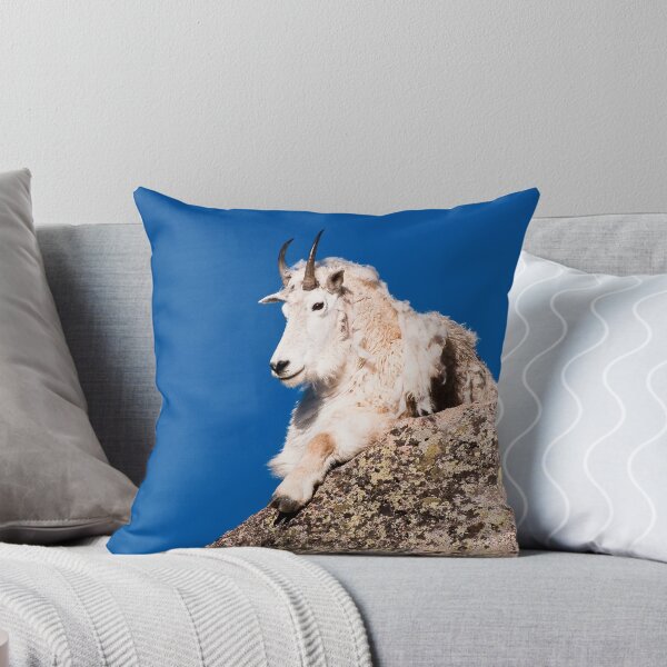 Item preview, Life on the Edge designed and sold by Gary Lengyel.