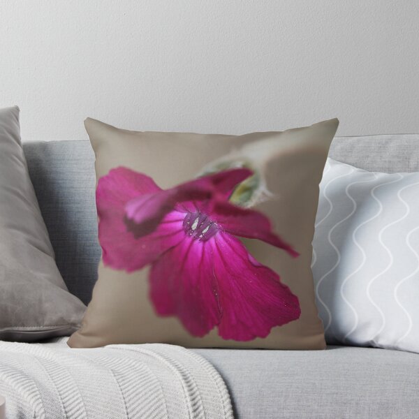 Item preview, Passionata designed and sold by Rosy Kueng Photography.