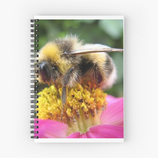 Item preview, Bumblebee designed and sold by shiro.