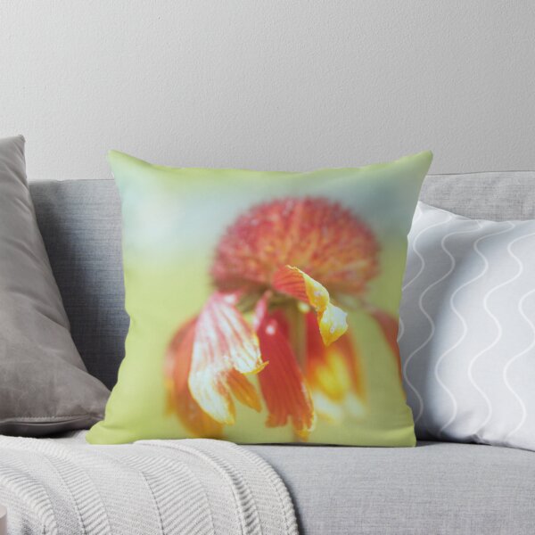 Item preview, Transient beauty designed and sold by aMOONy.
