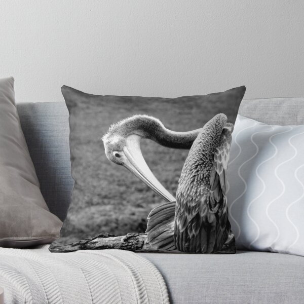 Item preview, ~Pelecanus rufescens~ designed and sold by a~m ..