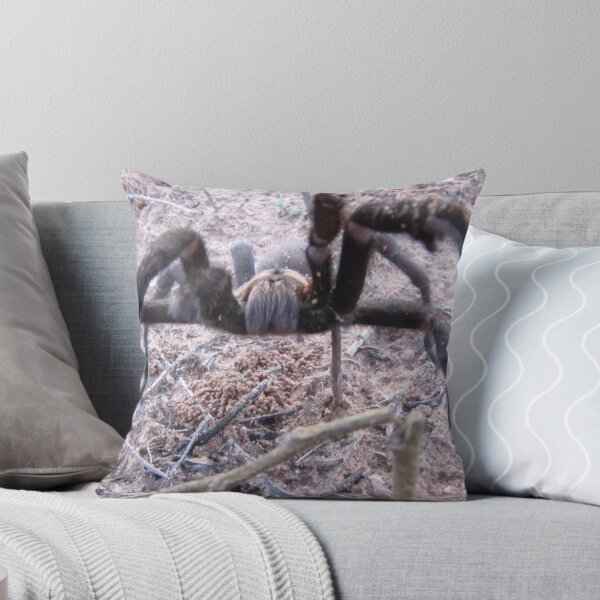 Item preview, brown  trantula designed and sold by gabbielizzie.