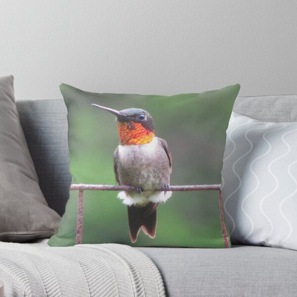 Item preview, Ruby-throated Hummingbird designed and sold by Ginny York.