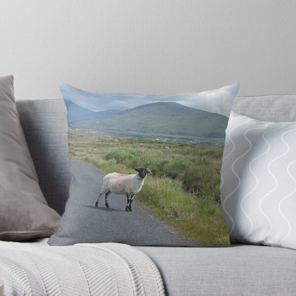 Item preview, picture postcard Ireland? designed and sold by Jon Lees.
