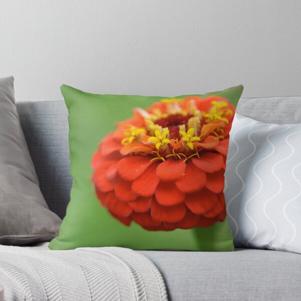 Item preview, sin cultivo designed and sold by Ainsley Kellar Creations.