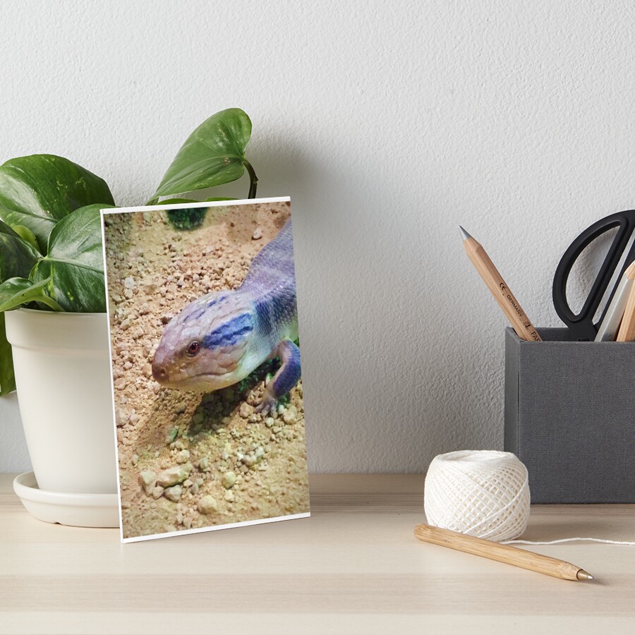 Item preview, Art Board Print designed and sold by trevorp.