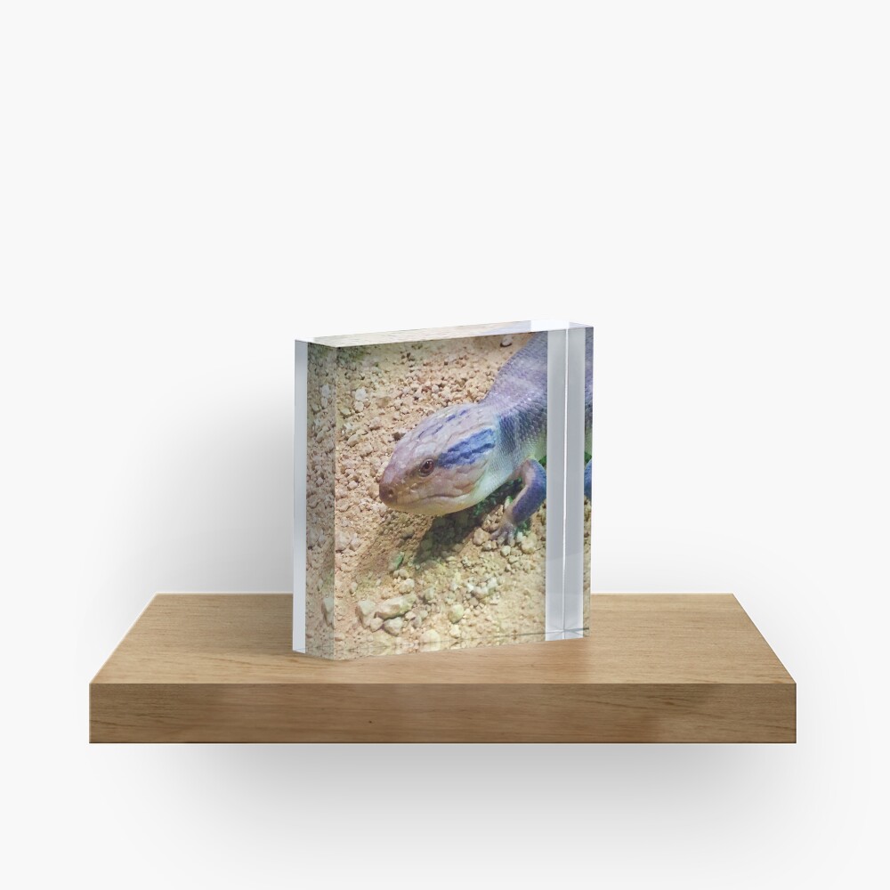 Item preview, Acrylic Block designed and sold by trevorp.