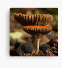 Two of the same Canvas Print