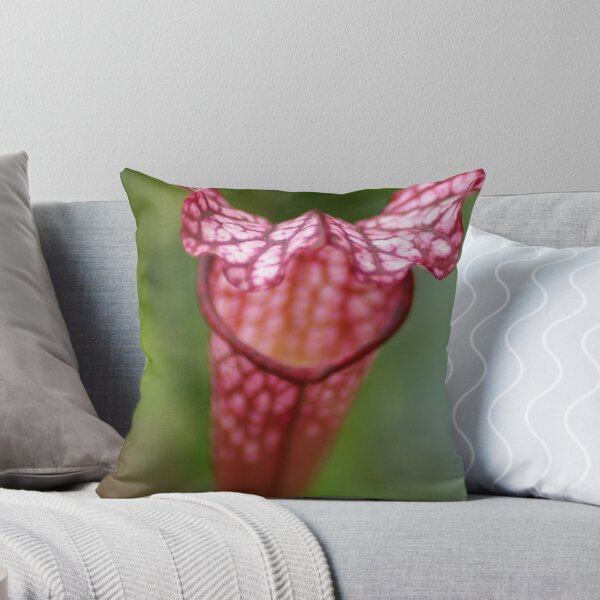 Item preview, Pitcher Plant designed and sold by crystalventerseye.