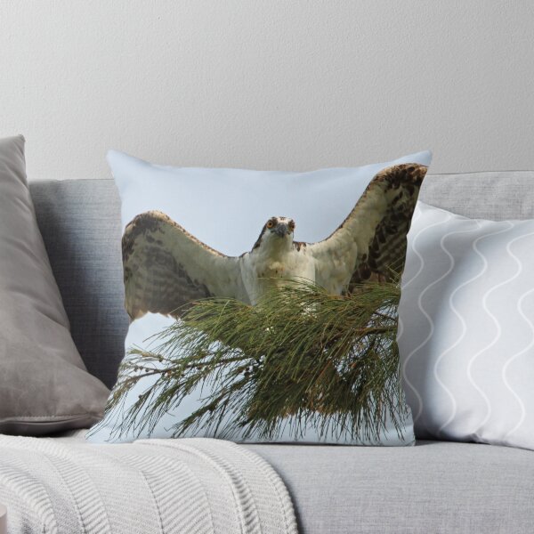 Item preview, osprey displaying wingspan designed and sold by Anthony Goldman.