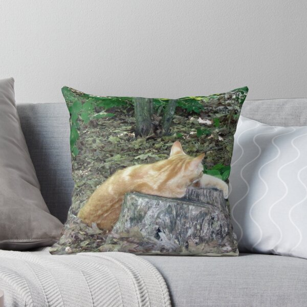 Item preview, Outdoor Scratch  designed and sold by Jonathan  Green.