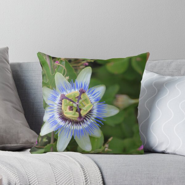 Artikelvorschau, passion flower entworfen und verkauft von epitome0.