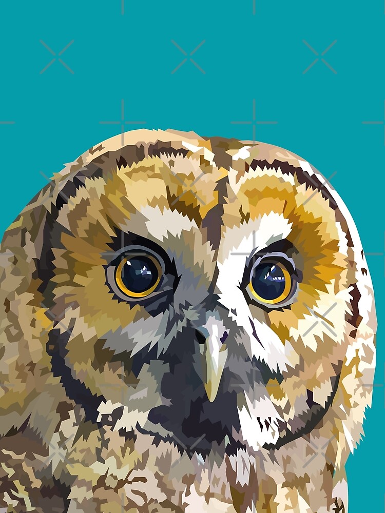 Sparkly eyed Owl by Elviranl