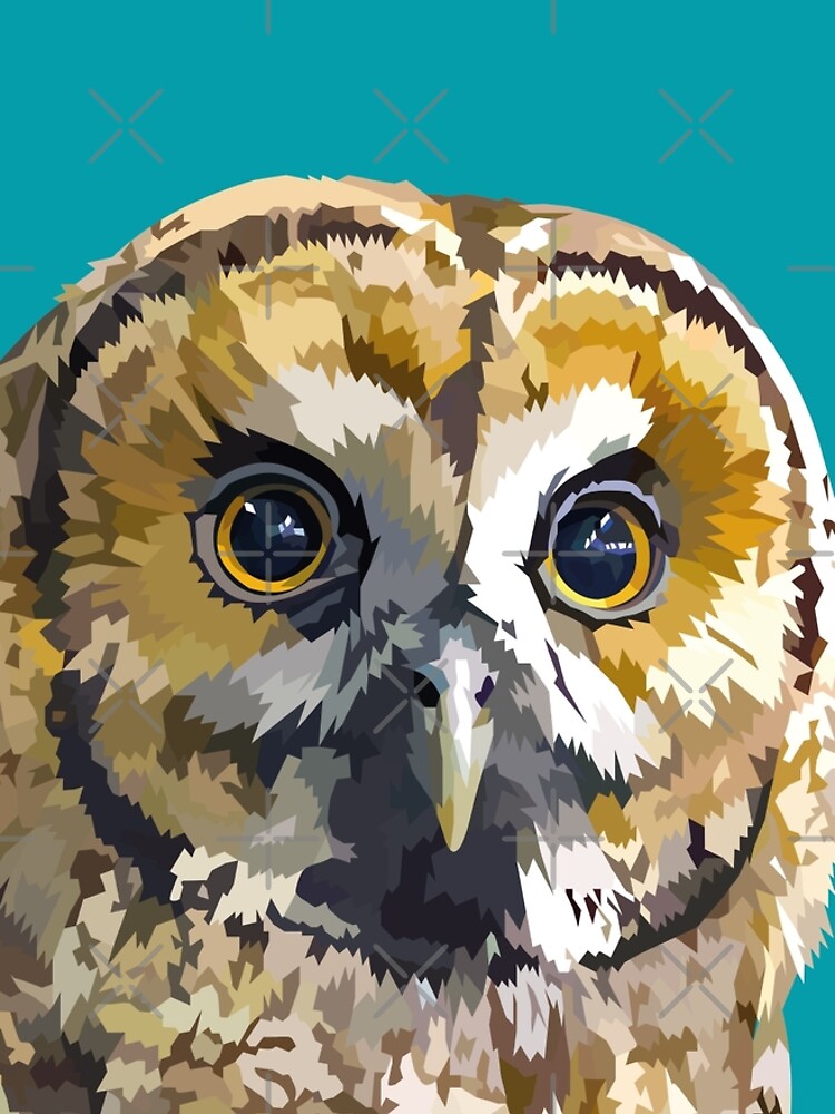 Sparkly eyed Owl by Elviranl