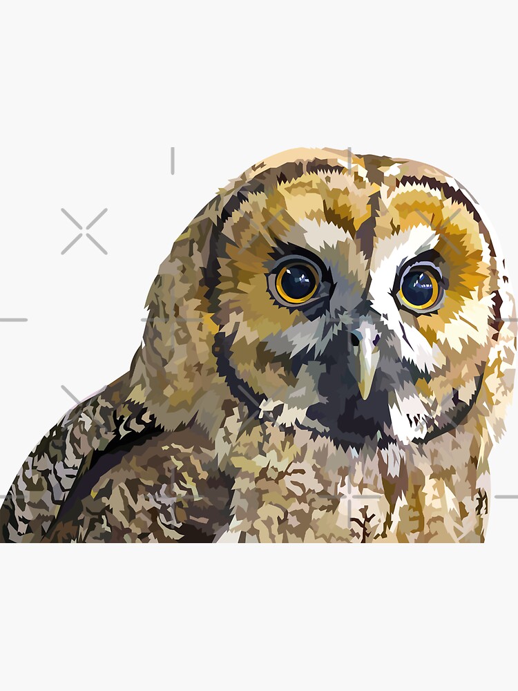 Sparkly eyed Owl by Elviranl