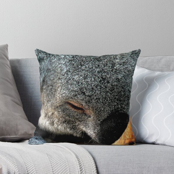 Artikelvorschau, Atop a Tree a Koala Sleeps entworfen und verkauft von paintingsheep.