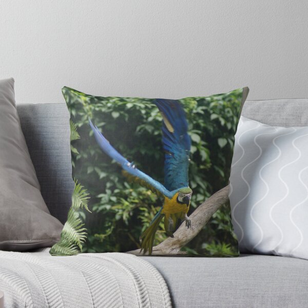 Aperçu de l'œuvre Macaw in flight créée et vendue par Nathan Lam.