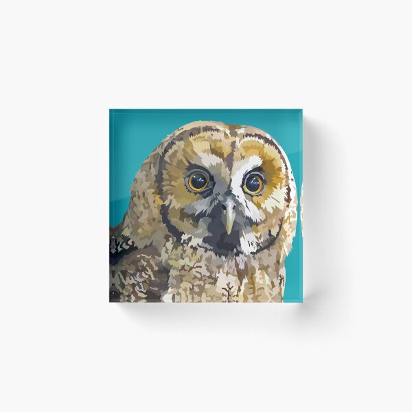 Item preview, Sparkly eyed Owl  designed and sold by Elvira Clement.