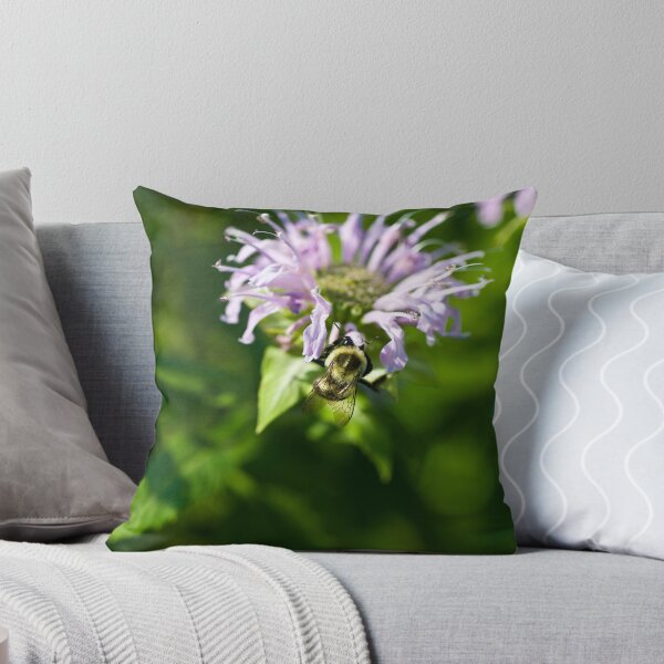 Item preview, Bee - Cause I'm Hungry designed and sold by charlie murray.