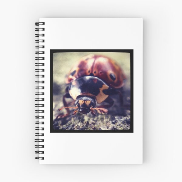 Item preview, Ladybug designed and sold by Bobajay.