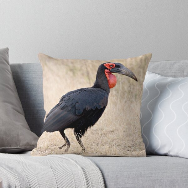 Aperçu de l'œuvre Southern Ground Hornbill créée et vendue par Michael Moss Photography.