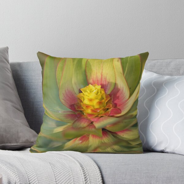 Item preview, Leucadendron sp. designed and sold by Etwin.