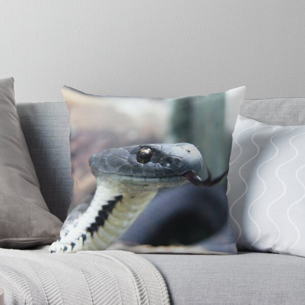 Item preview, Theyre Back  designed and sold by Thow's Photography.