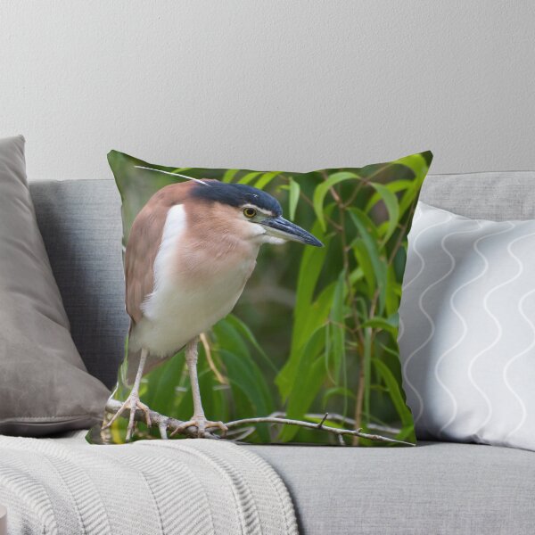 Item preview, Out on a limb - Nankeen  Night Heron designed and sold by Jenny Dean.