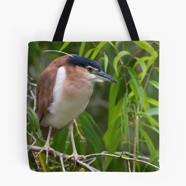 Item preview, Out on a limb - Nankeen  Night Heron designed and sold by Jenny Dean.
