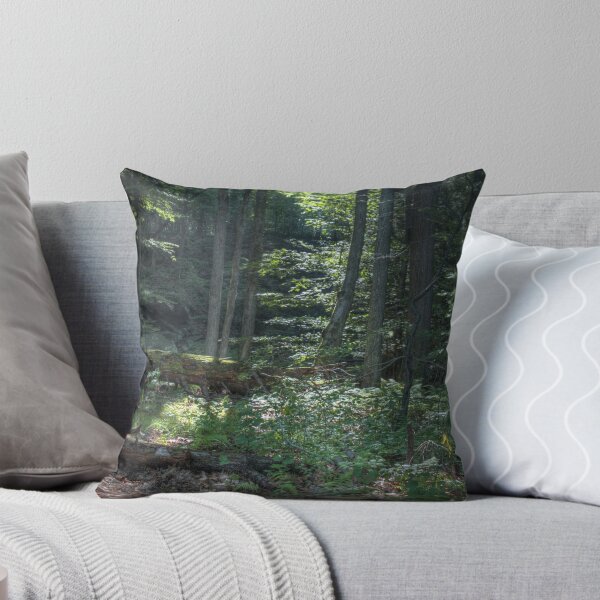 Item preview, Morning Light II designed and sold by aaronc.