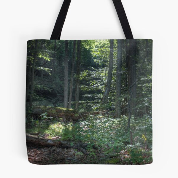 Item preview, Morning Light II designed and sold by aaronc.