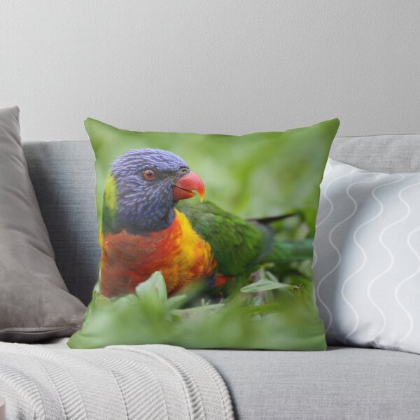Artikelvorschau, Rainbow Lorikeet entworfen und verkauft von Graham Jones.