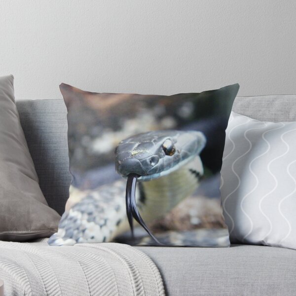 Item preview, Tongue action  designed and sold by Thow's Photography.