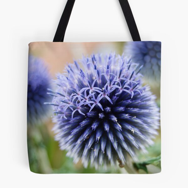 Item preview, Echinops designed and sold by marc melander.