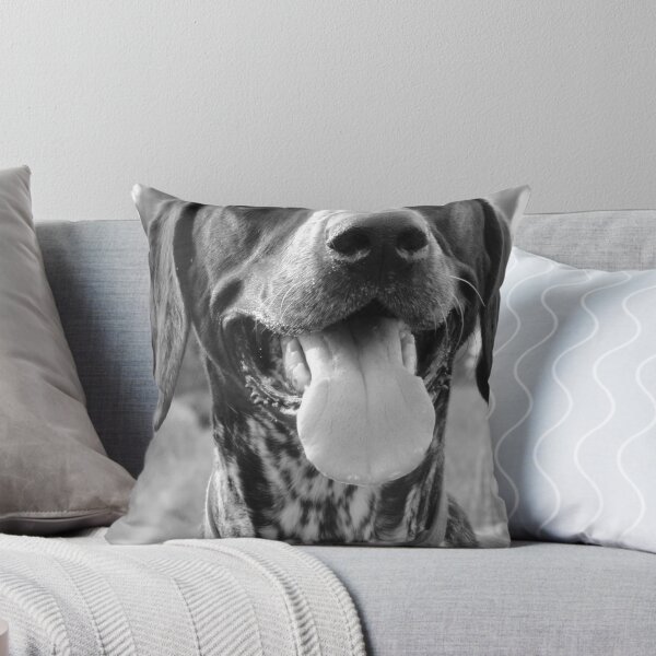 Item preview, Noah designed and sold by KChisnall.