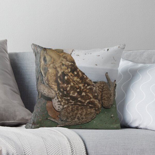 Item preview, huge frog designed and sold by ojburritt.