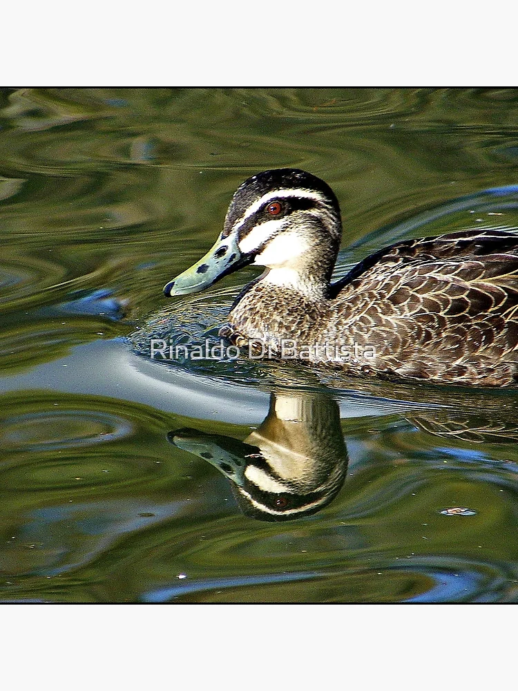 Imagen 4 de 4, Cojín con la obra Rippled Effects, diseñada y vendida por Rinaldo Di Battista.