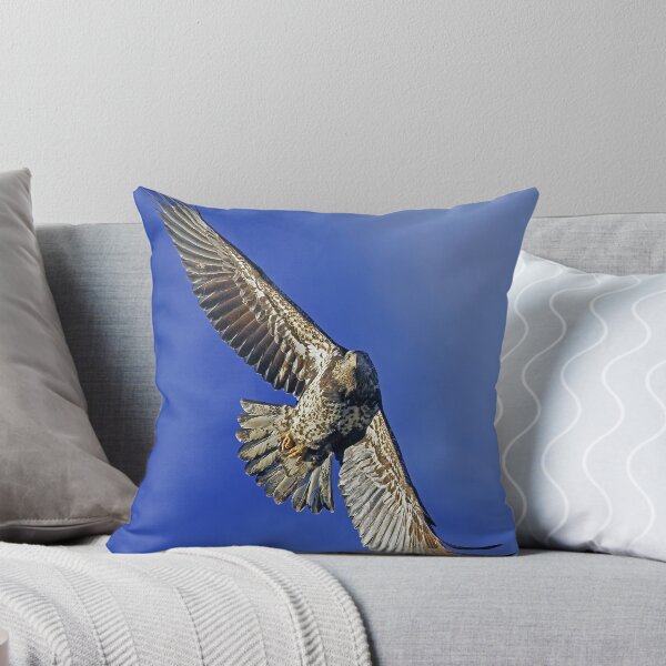Item preview, Young Bald Eagle designed and sold by Randall Ingalls.