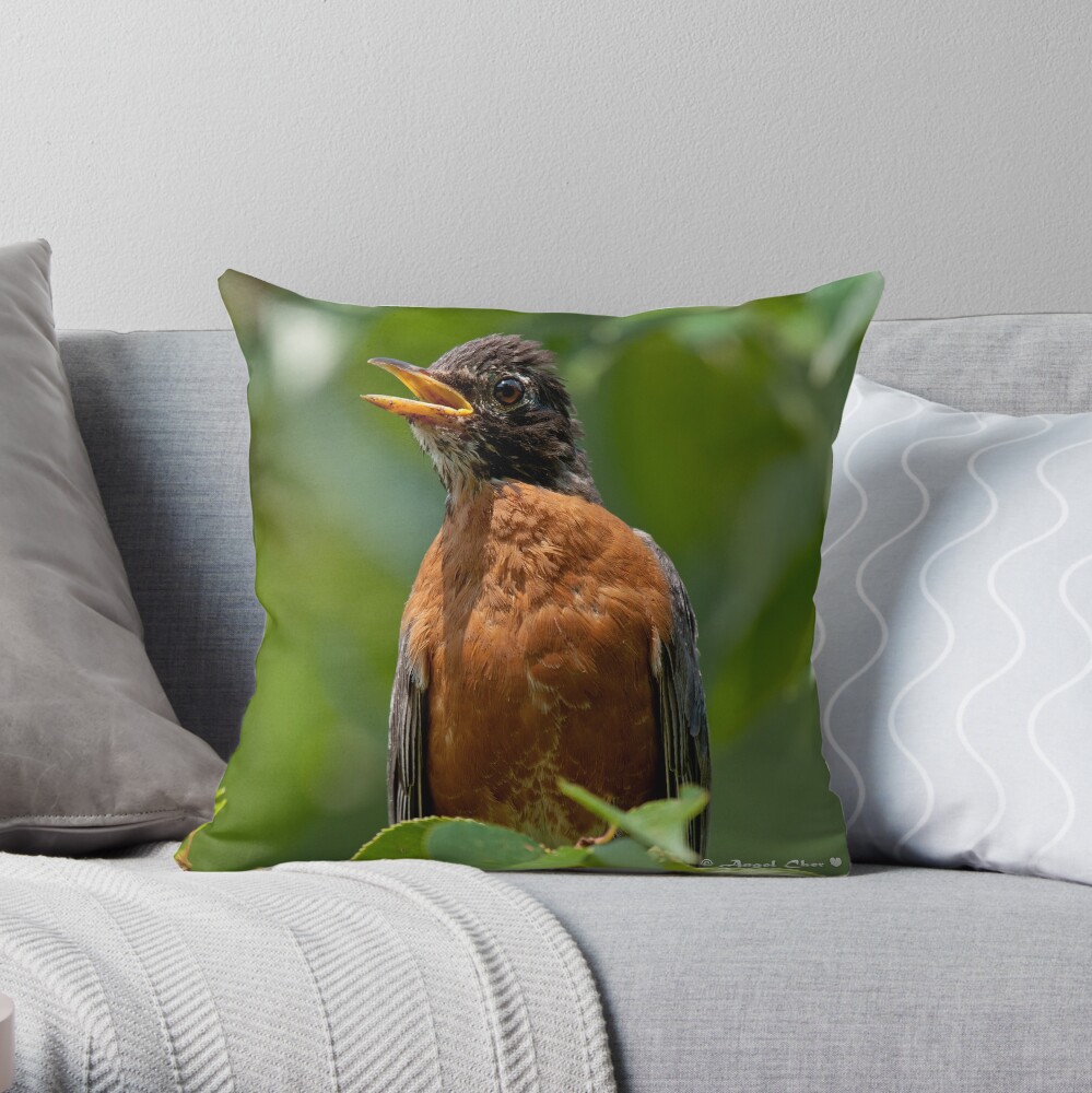 Robin Mama Throw Pillow
