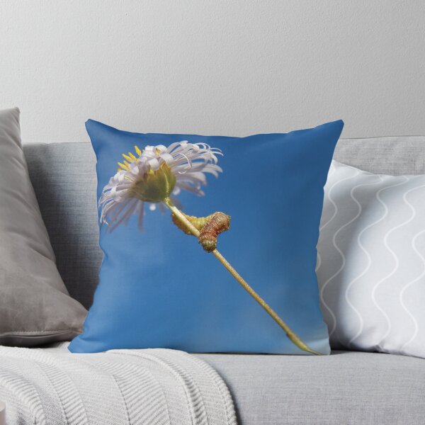 Item preview, The Bold, The Beautiful, and the Bright Blue Sky designed and sold by binjy.