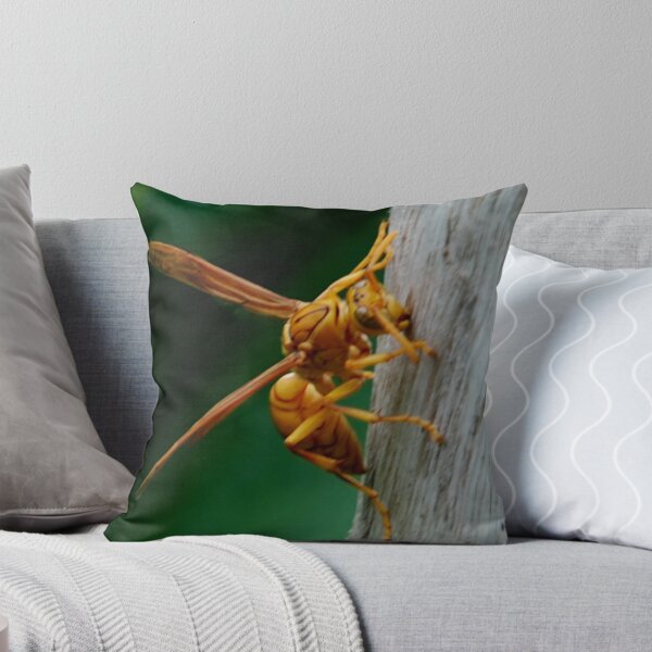 Item preview, Insect designed and sold by JYOTIRMOY Portfolio Photographer.
