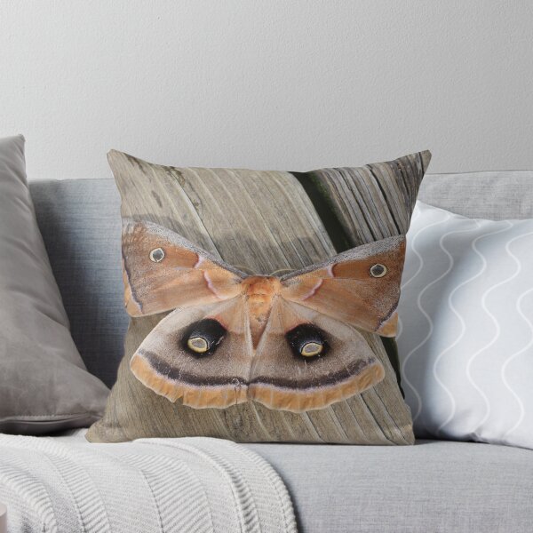 Item preview, Captured ! designed and sold by shadyuk.