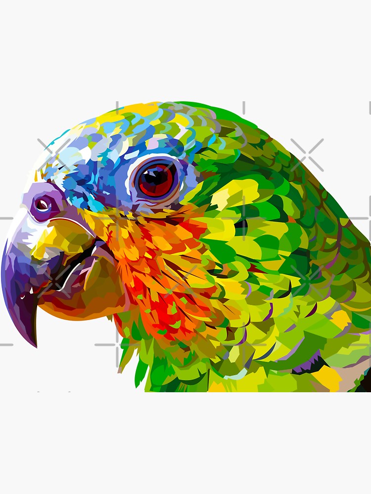 Rainbow colored parrot by Elviranl